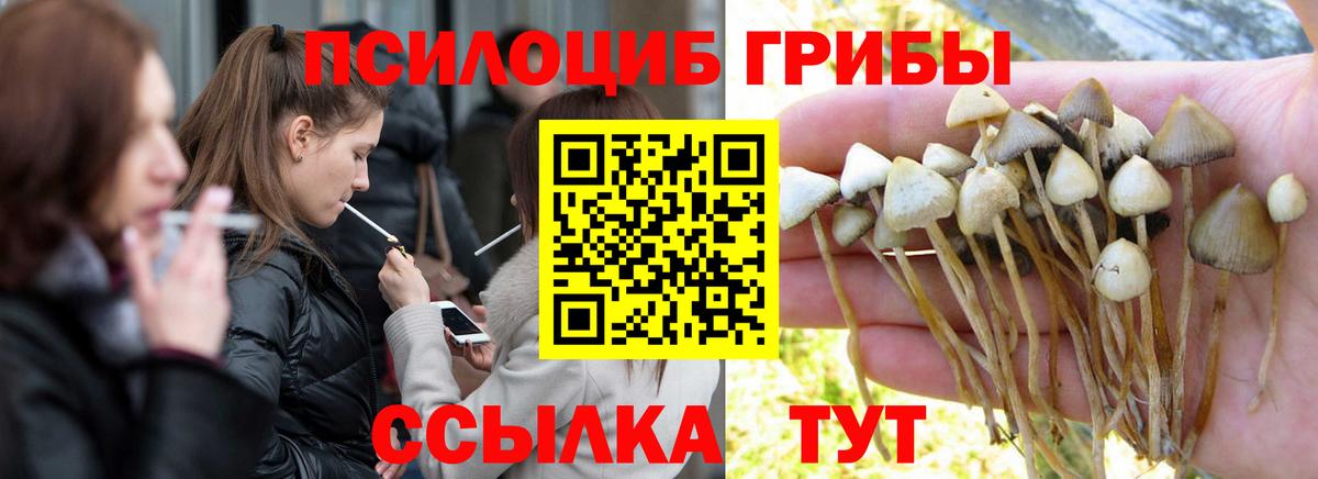 Псилоцибиновые грибы Psilocybe  Вход с VPN  Псков  Галлюциногенные грибы мухоморы 