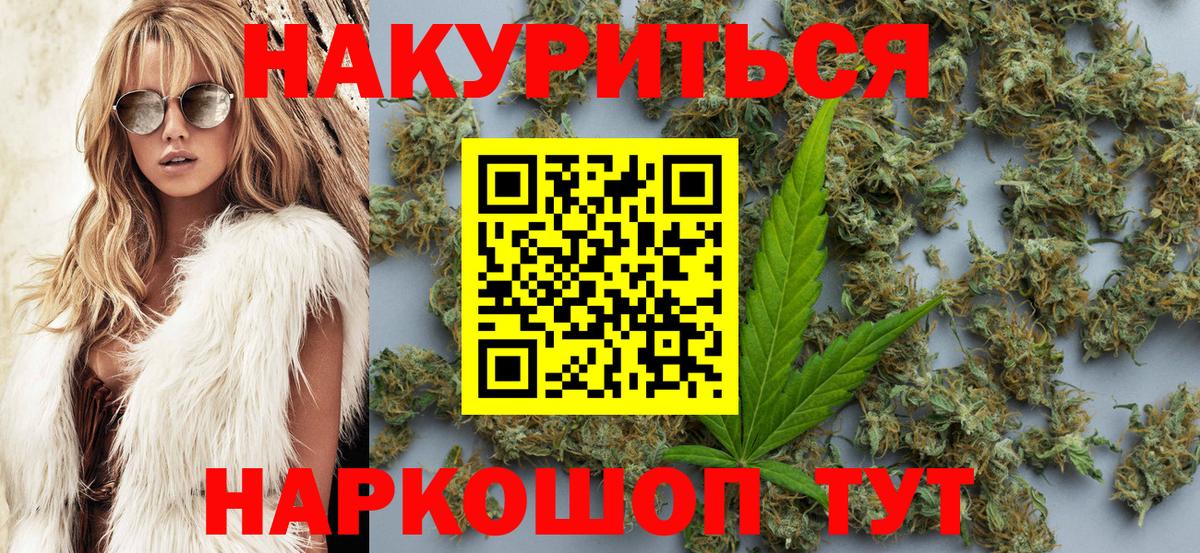 Канабис сатива Псков
